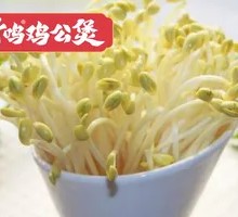 Bean sprouts