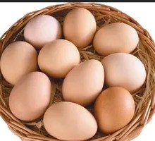 Free-range egg