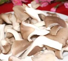 Enoki Mushroom