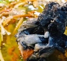 乌鸡