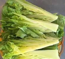 Bamboo Shoot Tips