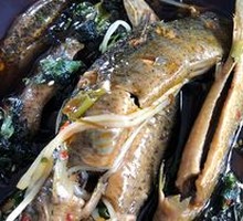Huo Xiang Mud Carp
