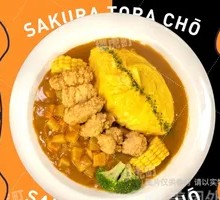 Salted Fried Chicken Curry Omelette Rice