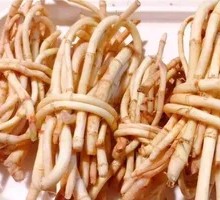Houttuin Root