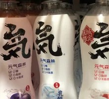 Energy Forest Sparkling Water