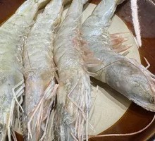 Large Green Shrimp