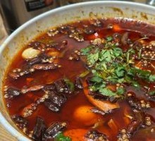 Maoxuewang