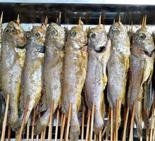 Yellow Croaker