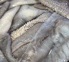 Hand-Torn Beef Tripe