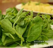 Pea Shoots