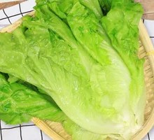 Lettuce