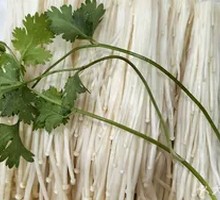 Enoki Mushroom
