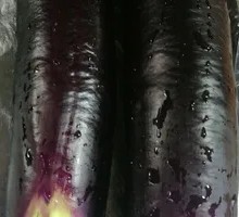 Grilled Eggplant