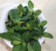 Fresh Mint Dish