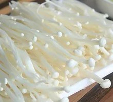 Enoki Mushroom
