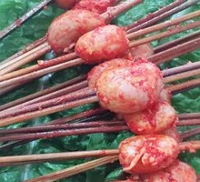Rabbit Kidney
