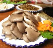 Enoki Mushroom