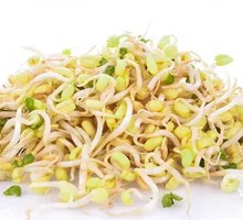 Mung Bean Sprouts