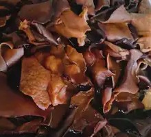 Organic Black Wood Ear Mushroom