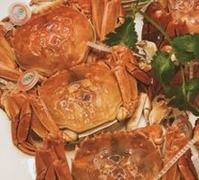Freshwater Crab