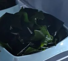 Kelp