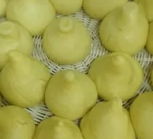 Corn Cob Bread