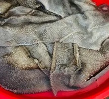 Torn Fresh Beef Tripe