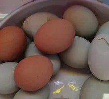 Salted duck egg