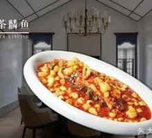 Tea Dragon Fish