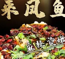 Lai Feng Fish