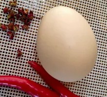 Egg