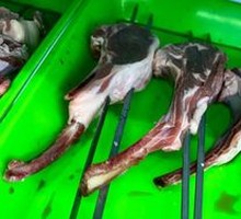 Grilled Lamb Ribs