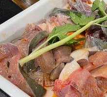 Qian Fish