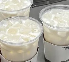 Coconut Jelly