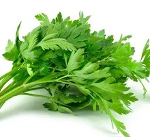 Fried Cilantro