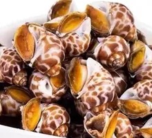 Steamed Flower Snail
