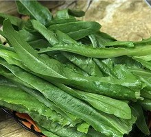 Green Vegetables