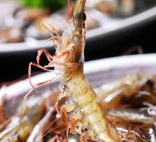Cocktail Shrimp