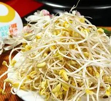 Mung Bean Sprouts