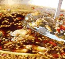 Freshly Killed Fish Head