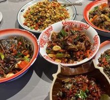 Spicy Softshell Turtle