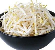 Organic Mung Bean Sprouts