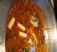 Reservoir Bighead Carp