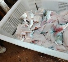 Sliced Fish with Spicy Sauce