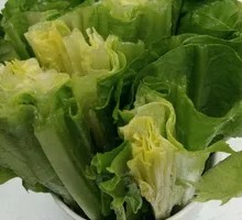 Oilseed lettuce