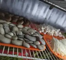 Self-Service Side Dishes