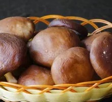 Shiitake Mushroom