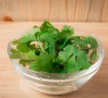 Cilantro