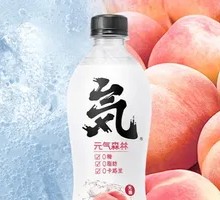 Elemental Forest Sparkling Water - White Peach Flavor