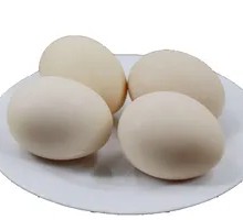 Boiled Egg